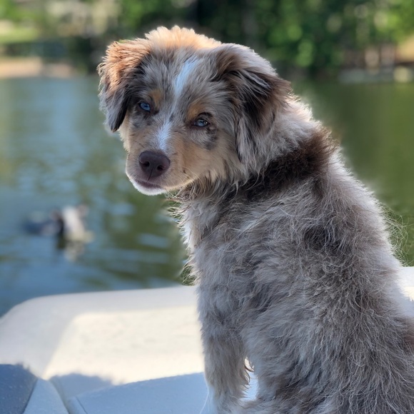 I’m Corinne! Thanks for stopping by to get to know me 😁 - Picture 8 of 14